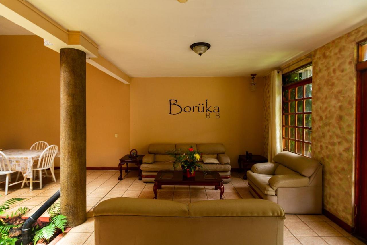 Boruka Bnb Otel Alajuela Dış mekan fotoğraf